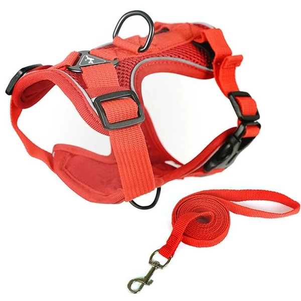 Double layer red harness