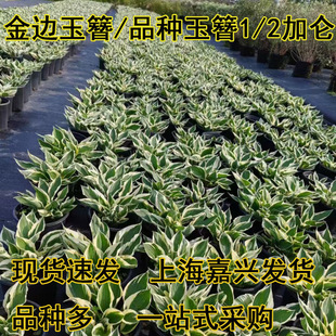 �����������Զ������ͺ�����^�~�޸��������¾G��ͥԺ���@ϲ�