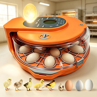 �羳������С�ͼ��ÿɷ�15�����յ���Ό��r���g�������ܷ�����