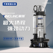 赢领不锈钢潜水泵220V小型家用清污水高效大流量耐腐强动力水泵