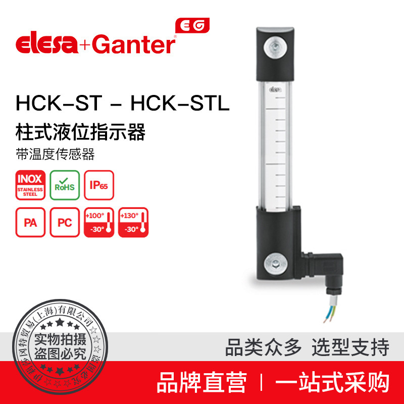 Elesa Ganter伊莉莎冈特 HCK-ST - HCK-STL指示器（1）