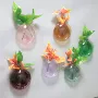 水培植物彩色墙壁花瓶