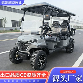 电动观光车;高尔夫球车;其他电动车