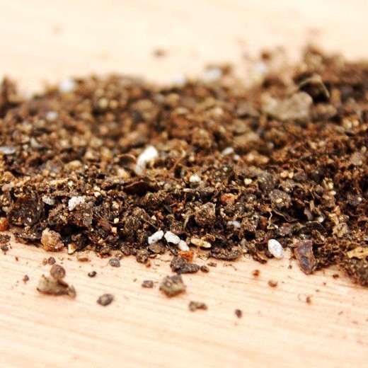 Micro paisaje y plantas suculentas suelo especial 200g jardinería materiales vegetales jardinería nutrición que contiene fertilizantes