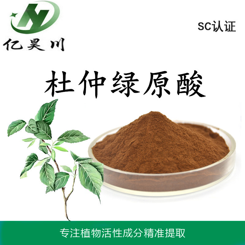 杜仲葉提取物_副本