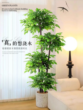 ����Gֲ�Ҹ���͏d���������҃��p���b�����ֲ����ؔ[�����l