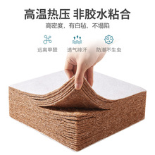 T3LC批发椰棕床垫棕垫纯棕榈薄款粽1.5米1.8儿童家用加硬护脊乳胶