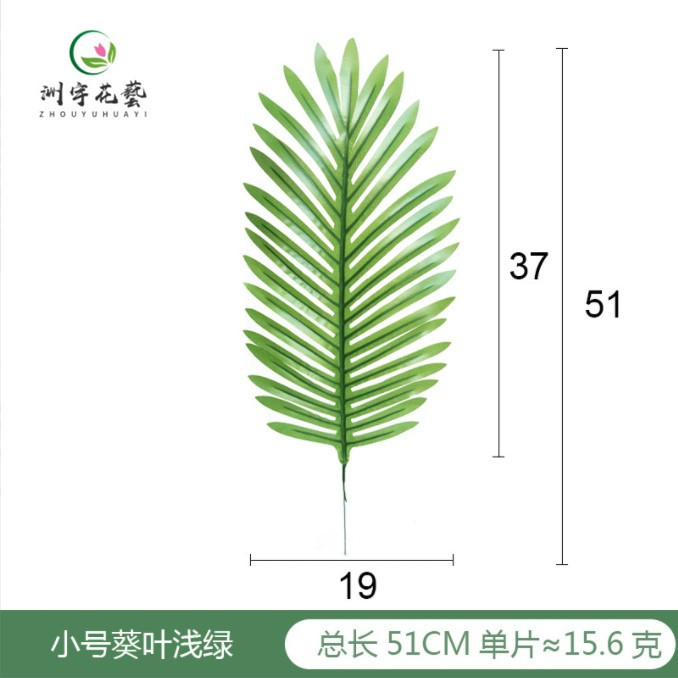 浅绿小号葵叶_副本