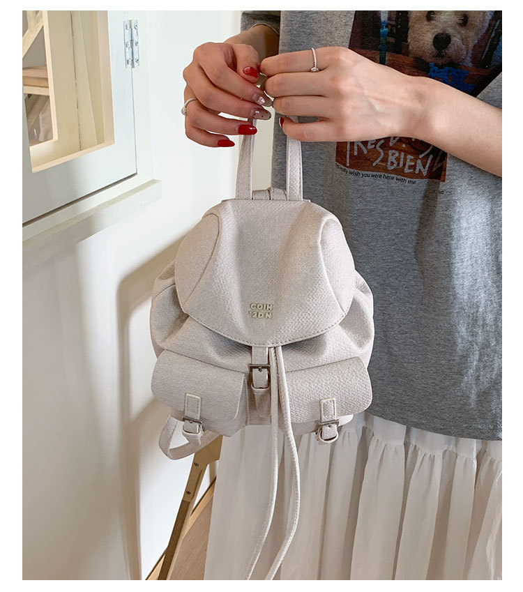 "College Style 2025 New Korean-style stylish mini Backpack, double pockets, lid style backpack, casual travel bag. undefined