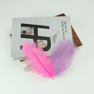 �b��M���r�B��ë15-20cm��c·�������[�O��̨�ݳ����ߴ���ë