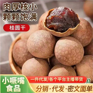 新货福建桂圆干整箱拿货非大果500g非无核莆田产龙眼肉干肉厚泡水