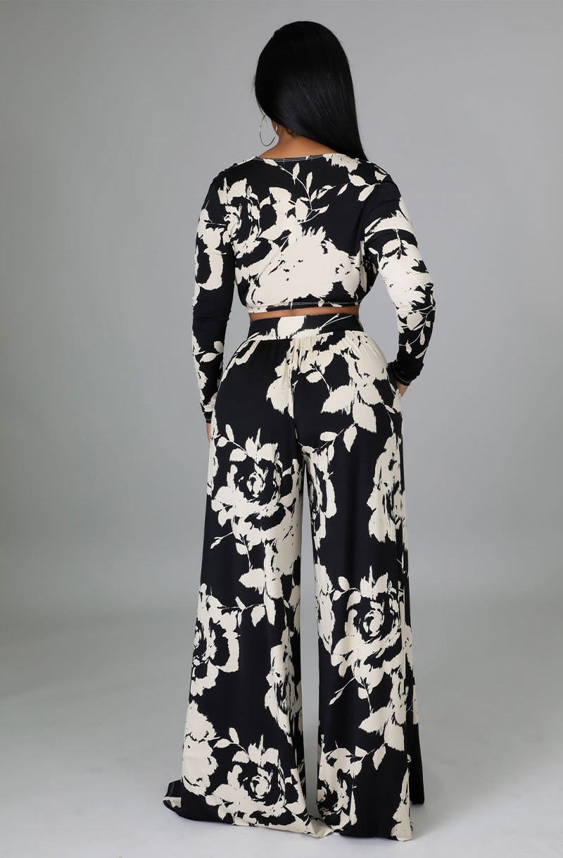 printed long-sleeved deep V wide-leg high waist top and pant suit NSYMS134814