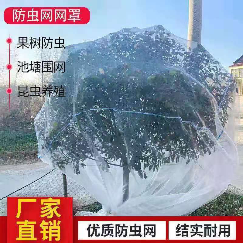 防鸟网天网果树防鸟防虫网罩杨梅蓝莓桃树罗曼防虫网罩防虫蚊帐