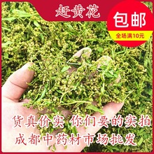 优品成都材市场批 发四川古蔺赶黄草花 赶黄草益肝醒酒l