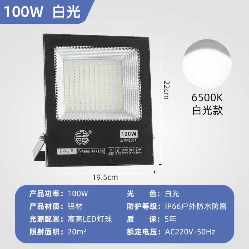 100w white light [smart led chip]