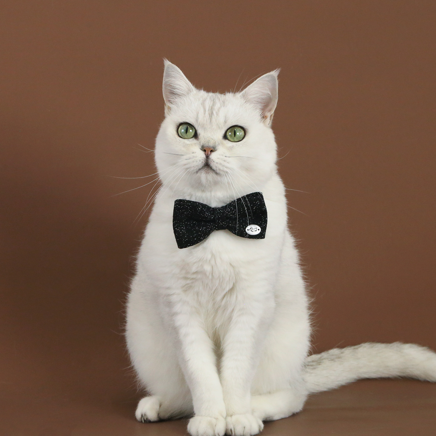 2025 mascota lino collar ajustable anti-asfixia gatito cachorro perro caballero corbata corbata arco