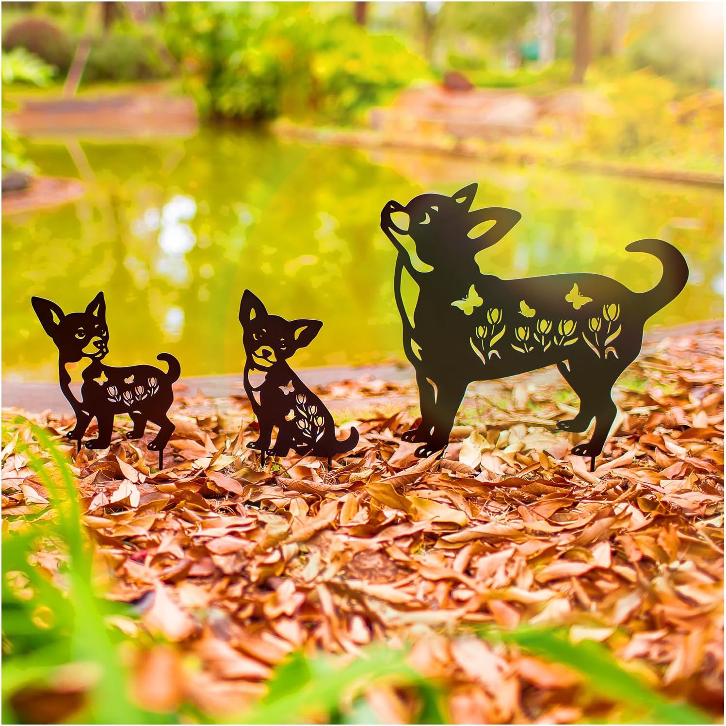 치와와 3종 세트