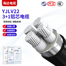 �X��| ZCYJLV22 3+1о��ȼ�z�b��|��|�F؛