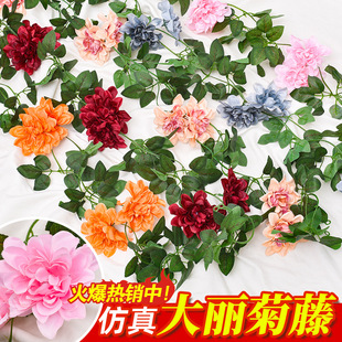 ����õ�廨�ټٻ��ٗl�͏d���{�ܵ��ړ��b�픻��٠���ڒ�����