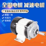 电动三轮车电机48VW永磁直流电机马达大功率1500无刷头电机交流