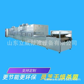 食品杀菌设备;微波干燥设备;带式干燥设备