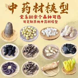 材标本模型天麻茯苓博物馆中医材虫草石斛医学院陈列