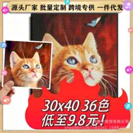 跨境专供5D手工DIY钻石画来图定制任何尺寸图片带钻包工具包
