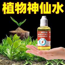 植物通用型活力素养花专用快速复活厂家直销超浓缩营养液