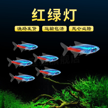 �t�G���~��̖�^�p�~С�͵�ˮ���B�Ꭷ�~���~�ݸ�Ⱥ��ˮ���^�����~