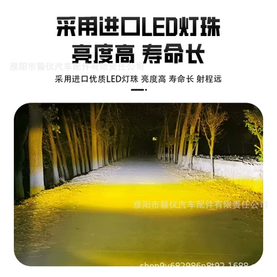 Assembly, Fog lamp