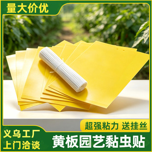 ճ�x���p��Ӻ��ωС�w�x�T�x������S���{�����@�ַ��x�T����