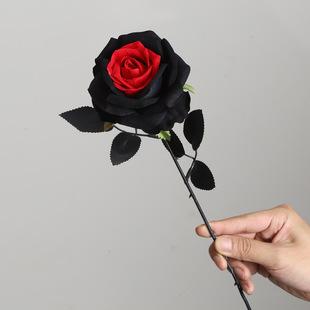 �f�}�������L����ڼtõ���֧�L�U���컨�羳�Ɍ����õ������l