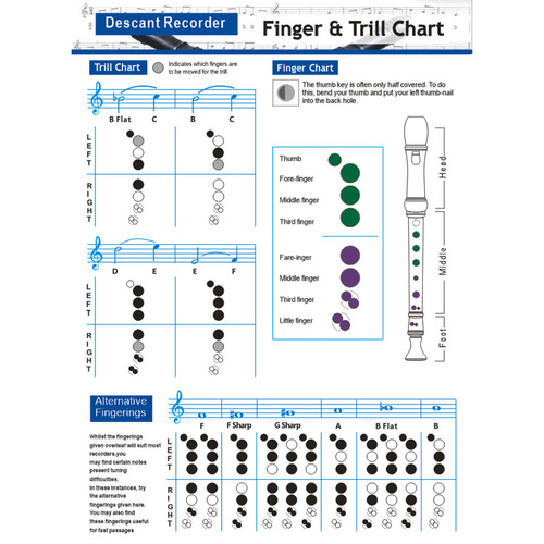 Wholesale bass recorder chord practice chart 8-hole eight-hole recorder fingering chart recorder chord score
