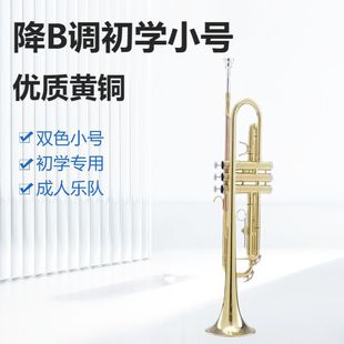 小号乐器降B调pyxh001学生初学入门级小号乐器专业演奏级管乐器-阿里巴巴