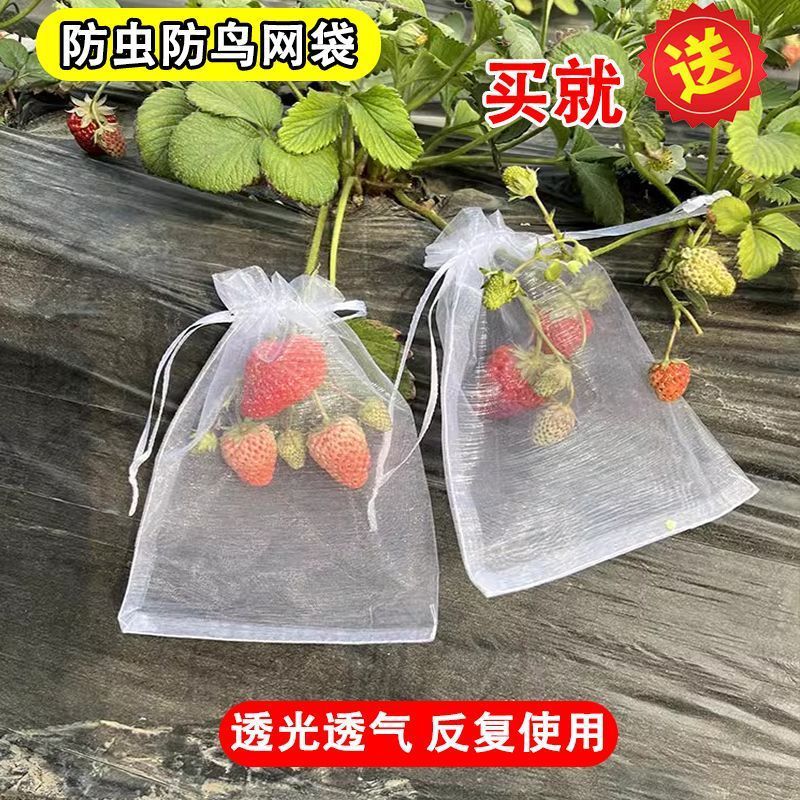 02a9b5db-4660-4282-af16-e4ddddb55643.jpe