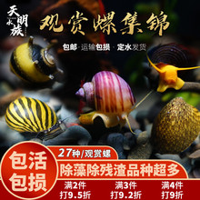 �^�p�ݳ��Ú��ֳ����۷�Ǻڽ����U�~�¹��ϼy��ˮ���R��з�^�p�r