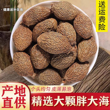 ��ƷҰ���ִ���ș�Ĺٷ���Ş��ɢ�b�ؼ��ִ��_�h���ݲ���ˮ��