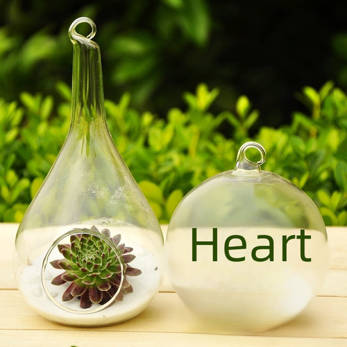 Wholesale hanging glass vase succulent plant micro landscape creative home decor Nordic craft zakka