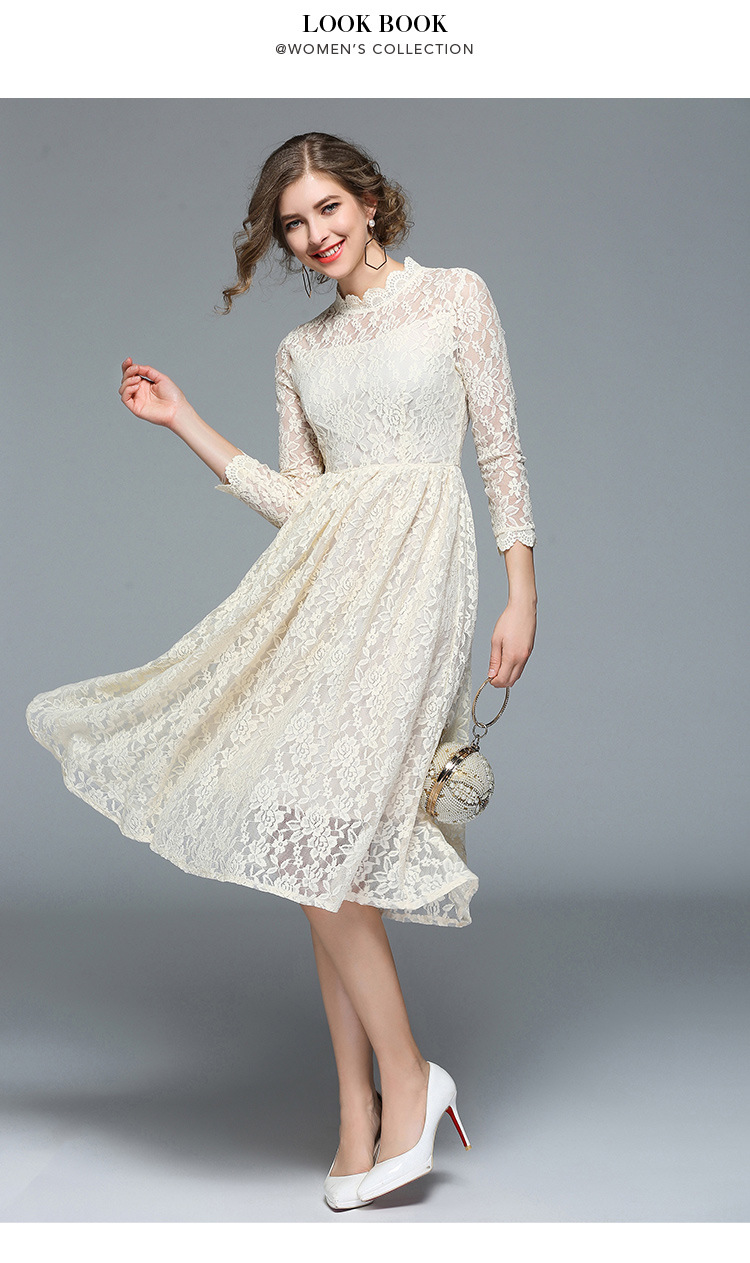 Elegant Lace Dress