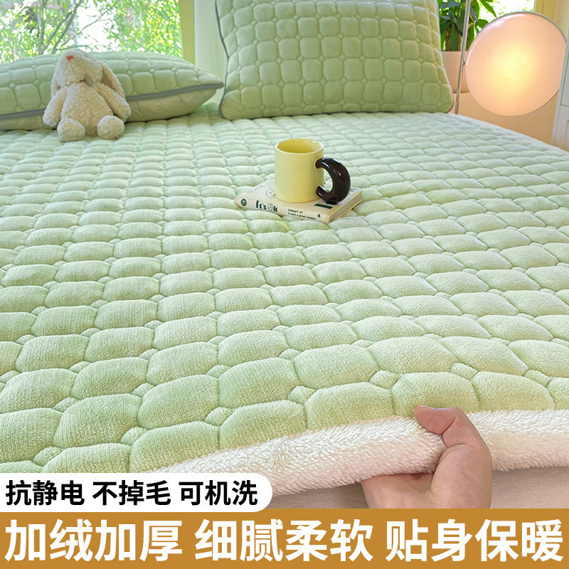 연한 잔디 녹색