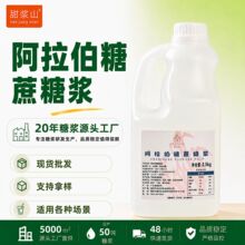 商用阿拉伯糖浆桶装烘焙调味品专用原料咖啡奶茶店批发蔗糖糖浆