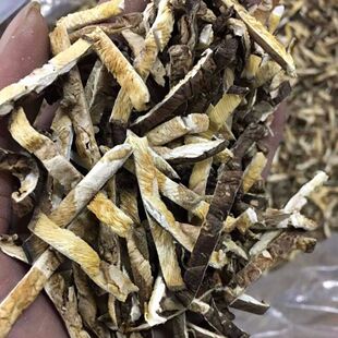 �����㹽�z��؛�����r���خa��Ģ���z�����o�_С�㹽Ƭ�l�нz���]