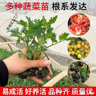 �m������t���緬�����}Ů�����������߲�������������������ˮ��