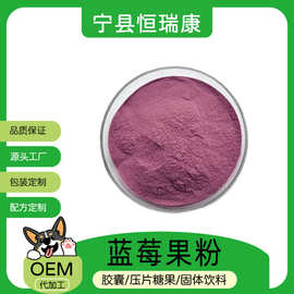 蓝莓果粉98% 水溶喷雾干燥各种果蔬粉现货包邮 蓝莓果粉