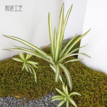 ���������Gֲ��߅���m�Gֲ3D�~�}�|�мҾӾƵ��̈����^�bG�~