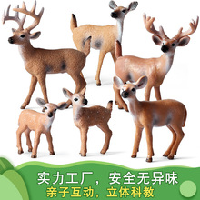 跨境实心仿真圣诞节白尾鹿森林麋鹿驯鹿松鼠动物摆件模型套装玩具