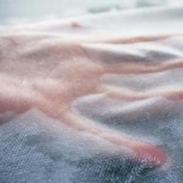 厂家热销不织布 卫生材料医疗卫生用布 pp纺粘无纺布批发