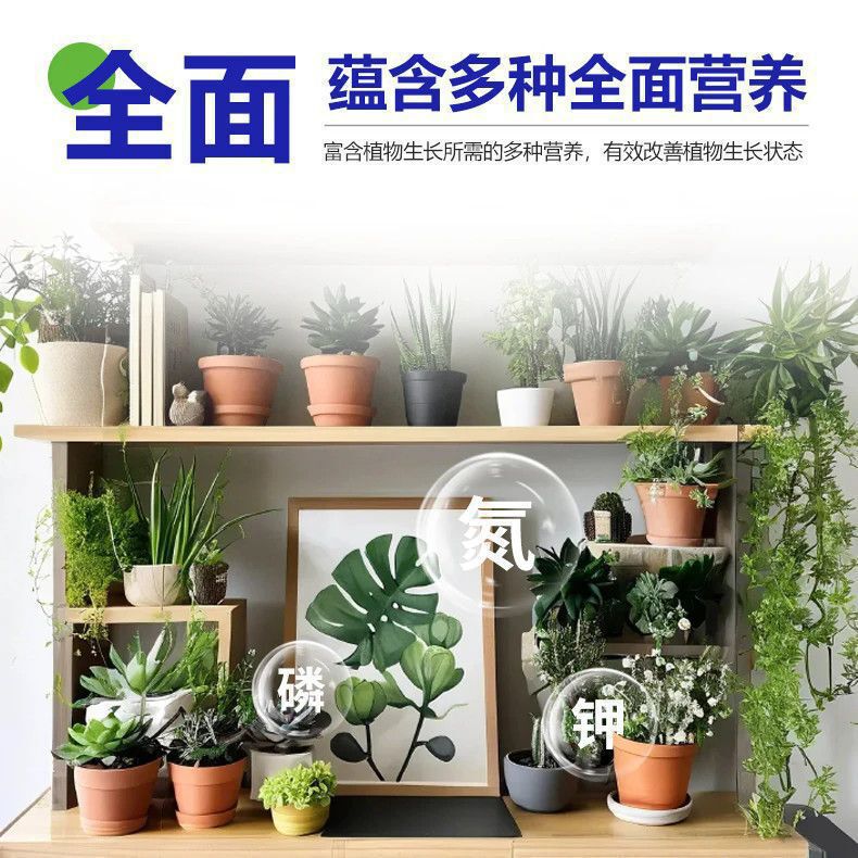 植物再生剤 花の復活液 葉の黄ばみ・脱落を防ぐ成長素 植物の再生促進剤|undefined