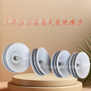 Ceramic anti-fouling three umbrella type suspension porcelain insulator XWP4-160U160NP/155DU210BPX WP-210