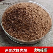 ���sӼ�����ӄ���������~��·��ζ�a�r���~ɢ�b�����̫��